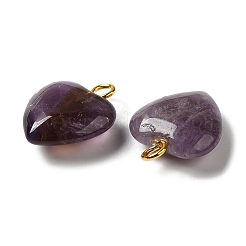 Natürlichen Amethyst Edelsteinanhänger&nbsp;G-E603-01G-03