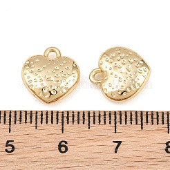 Pendentif en alliage &nbsp;AL-CBA83D5-12G