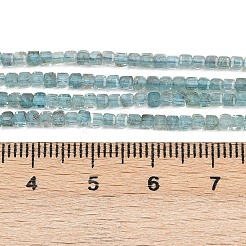 Natürliche Apatit Perlen Stränge&nbsp;G-L628-D05-2x2mm