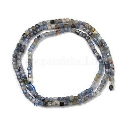 Natürliche kyanite Perlen Stränge&nbsp;G-B088-E24-02