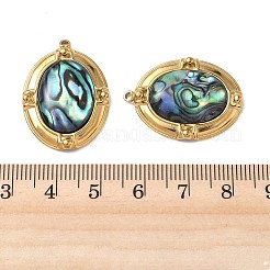 Natur Paua Muschel Anhänger&nbsp;STAS-G397-24G-02