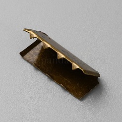 Nastro ferro crimpare estremità&nbsp;LS-FIND-WH0291-03B-AB