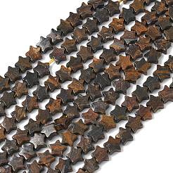 Natur Bronzit Perlen Stränge&nbsp;G-G085-B60-02