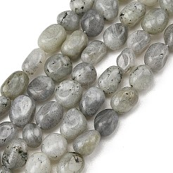 Natur Labradorit Perlen Stränge&nbsp;G-P623-A03-01