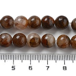 Natürlichen gelben Tigerauge Perlen Stränge&nbsp;G-H238-8mm