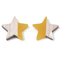 Harz & Holz Cabochons&nbsp;LS-RESI-R425-02B
