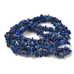 Natürliche Lapislazuli Chip-Perlen Stränge&nbsp;G-E271-121