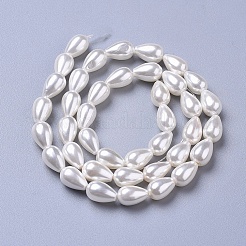 Fili di perle di conchiglia lucidati&nbsp;BSHE-L042-A02