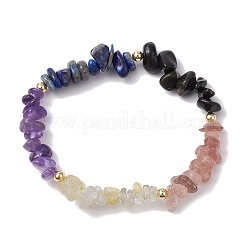 12 Stück 12 Stile Konstellationen Wächter Edelstein Stretch-Armbänder&nbsp;BJEW-JB11108