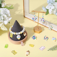 60pcs 10 styles de pendentifs en résine&nbsp;RESI-SC0002-82