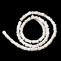 Naturali di acqua dolce perline shell fili&nbsp;SHEL-K006-08
