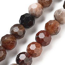 Natürliche versteinerte Holzperlen Stränge&nbsp;G-C150-B01-02