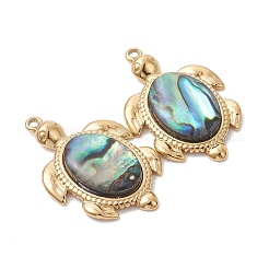Colgantes de resina epoxi de concha de paua natural&nbsp;PALLOY-JF05271-01