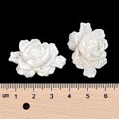 Natürliche weiße Muschel-Cabochons geschnitzt&nbsp;SSHEL-I026-15