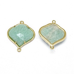 Natürliche Amazonite Verbinder Anschlüsse&nbsp;G-L514-018G