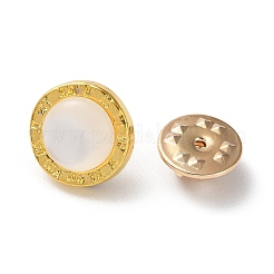 Broches en strass en alliage de zinc&nbsp;LS-JEWB-F022-02B
