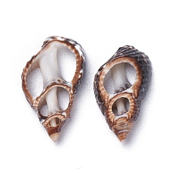 Naturspirale Muschelperlen&nbsp;BSHE-I016-05