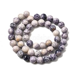 Fili di perline di diaspro naturale a strisce viola&nbsp;G-K350-C03-8mm