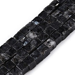 Natürliche Larvikit-Perlenstränge&nbsp;G-T139-6x6-25A