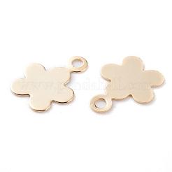 Breloques en laiton&nbsp;KK-Y003-34G