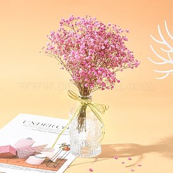 Ruban de raphia&nbsp;OCOR-I012-A23
