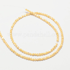 Hebras naturales de conchas redondas&nbsp;SSHEL-M013-2mm-02