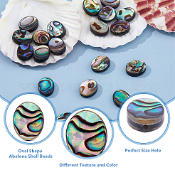 20 Stück Abalone-Muschel/Paua-Muschelperlen&nbsp;SSHEL-FI0001-03