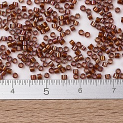 Perles miyuki delica&nbsp;SEED-MY11-DB1750