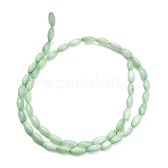 Naturali di acqua dolce perline shell fili&nbsp;SHEL-C010-01