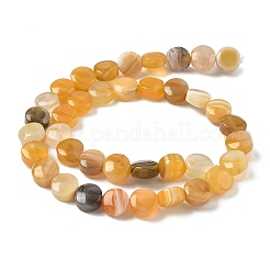 Natürliche gelbe Botswana Achat Perlen Stränge&nbsp;G-F790-H04-01