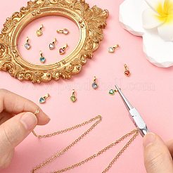 12 pendentif strass en acier inoxydable 304 avec placage ionique (IP) 12 couleurs&nbsp;STAS-CJ0002-97