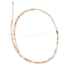 Hebras naturales de cuentas de concha de agua dulce&nbsp;SHEL-A006-04B