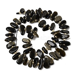 Natürliche goldenen Glanz Obsidian Perlen Stränge&nbsp;G-L649-A04-01