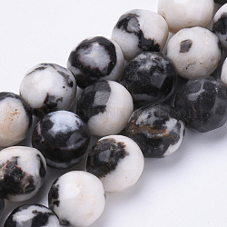 Brins de perles de jaspe blanc naturel zèbre, facette, ronde, 6mm, Trou: 1mm, Environ 62 pcs/chapelet, 15.3 pouce