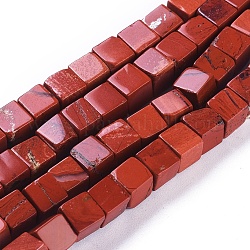 Natürliche rote Jaspis Perlen Stränge, Würfel, 5.5~6.5x5.5~6.5x5.5~6.5 mm, Bohrung: 0.8 mm, ca. 62 Stk. / Strang, 15.63 Zoll (39.7 cm)
