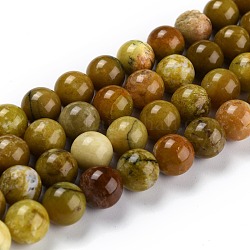 Natural Yellow Opal Beads, Round, 10mm, Hole: 1mm, about 39pcs/strand, 155.51''(395cm)