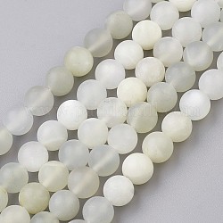 Natürlichen weißen Mondstein Perlen Stränge, matt, Runde, 7~8.5 mm, Bohrung: 0.5 mm, ca. 46 Stk. / Strang, 14.9 Zoll (38 cm)