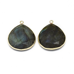 Natural Labradorite Pendants, with Brass Findings, Faceted, teardrop, Golden, 28.5~29x25x6.5mm, Hole: 1.8mm