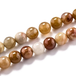 Chapelets de perles en bois pétrifié naturel, ronde, 6.5mm, Trou: 1mm, Environ 63 pcs/chapelet, 15.55'' (39.5 cm)
