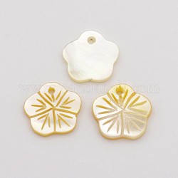 Natural Yellow Shell Flower Plum Blossom Charms, 10x10x1mm, Hole: 1mm