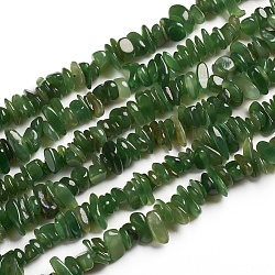 Natürliche grüne Jaspis Perlenstränge, Chip, 1.5~4.5x6.5~11.5 mm, Bohrung: 1 mm, ungefähr 33.39 Zoll (84.8 cm)