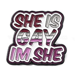 Palabra ella es gay soy ella orgullo lésbico arco iris tema pines esmaltados, broche de aleación de zinc negro para mujer, palabra, 27.5x29.5x1.5mm