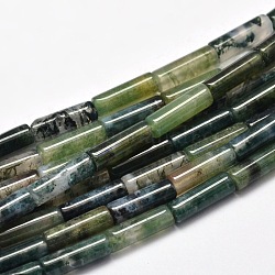Mousse brins de perles naturelles de la colonne d'agate, 13~14x4~5mm, Trou: 1mm, Environ 29 pcs/chapelet, 15.7 pouce