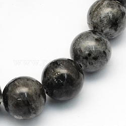 Fili di perline rotonde di larvikite naturale, 8.5mm, Foro: 1.2 mm, circa 47pcs/filo, 15.5 pollice