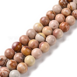 Natürliche Achat Perlen Stränge, Runde, 8~8.5 mm, Bohrung: 1 mm, ca. 48 Stk. / Strang, 15.75 Zoll (40 cm)