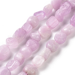 Chapelets de perles en kunzite naturelle, pépites, 8~12.5x6.5~9.5x5~6.5mm, Trou: 0.8mm, Environ 45 pcs/chapelet, 15.94'' (40.5 cm)