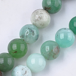 Brins naturels de perles de chrysoprase, ronde, 12mm, Trou: 1mm, Environ 15~16 pcs/chapelet, 7.4 pouce