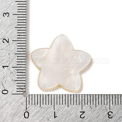 Cabochn in plastica acrilica&nbsp;OACR-R269-01C-1