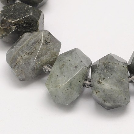 Faceted Natural Labradorite Nuggets Bead Strands G-M239-56-1