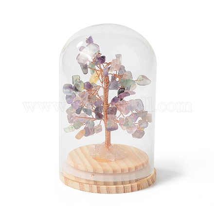 Natural Fluorite Chips Money Tree in Dome Glass Bell Jars with Wood Base Display Decorations DJEW-B007-04D-1